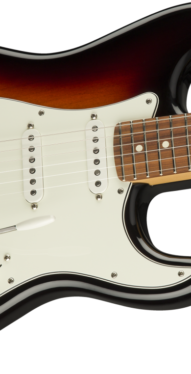 Pau Ferro Fingerboard