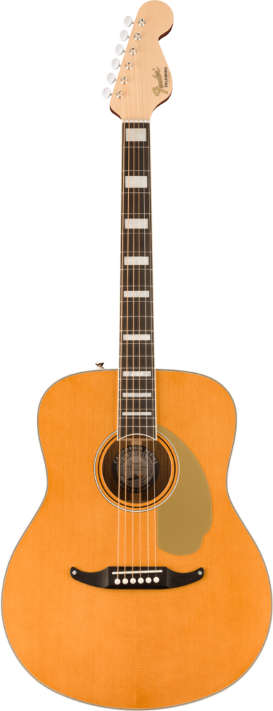 Fender Palomino Vintage